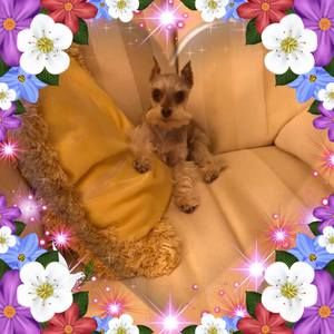 Meet your Posher, Linda